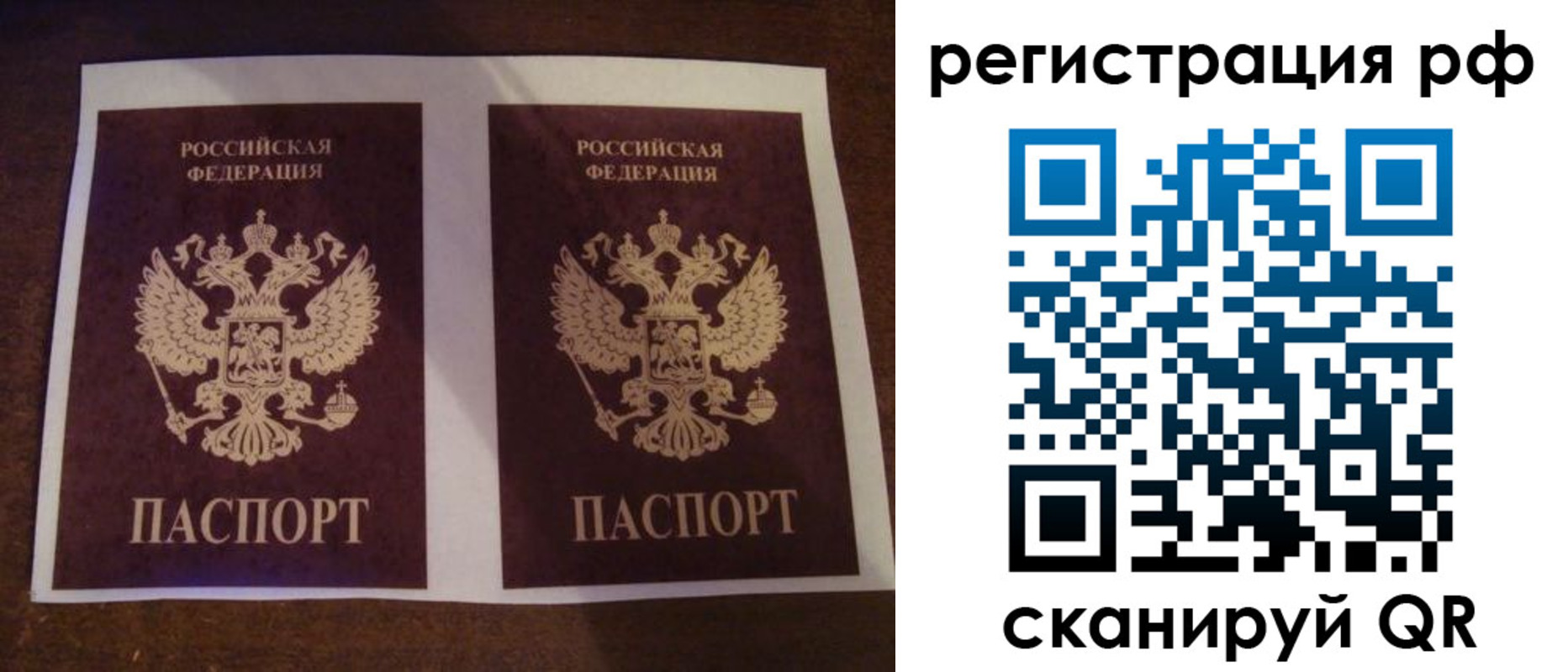 временная регистрация гарантия в Сальске